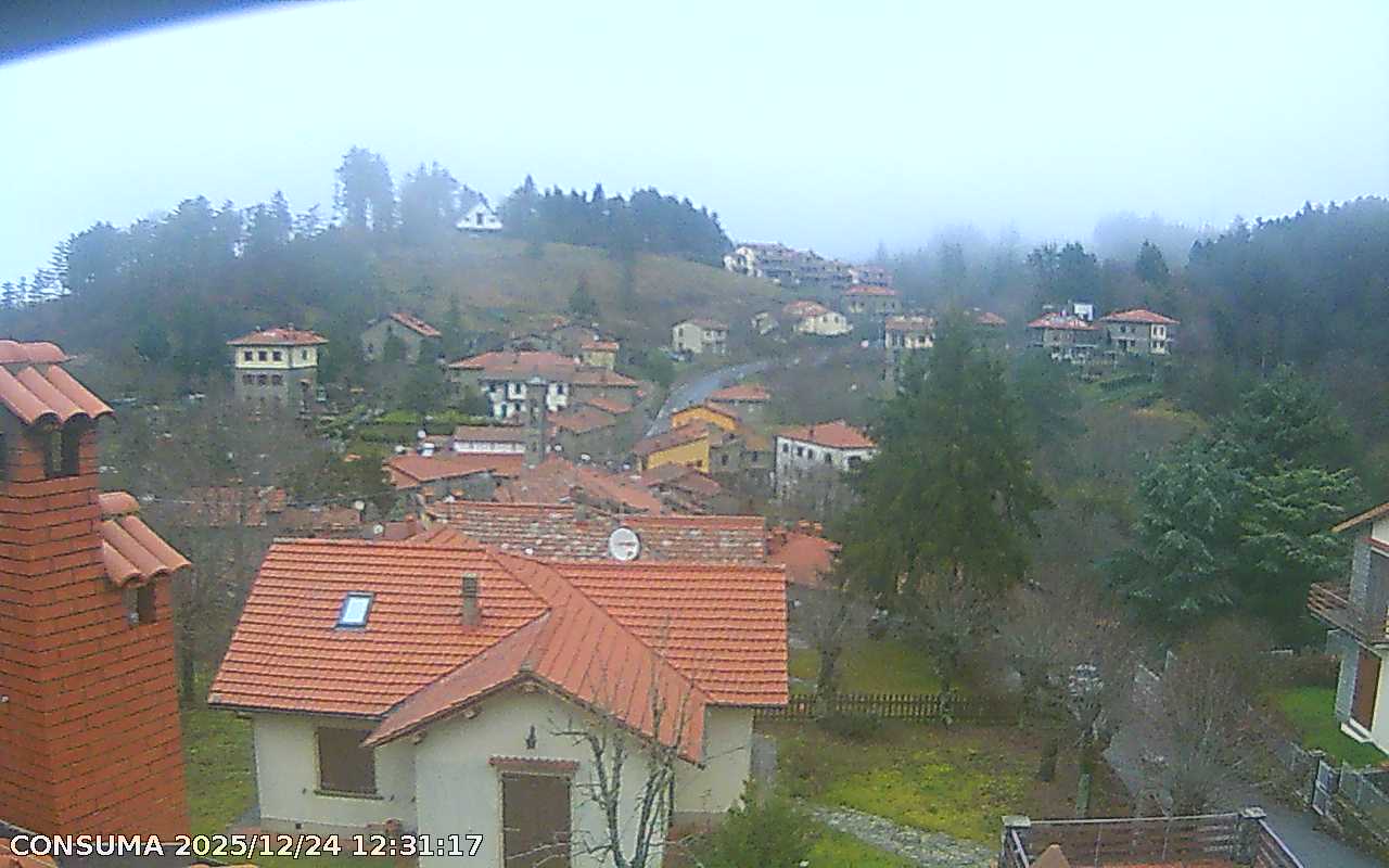 immagine della webcam nei dintorni di Castelfranco di Sopra: webcam Montemignaio