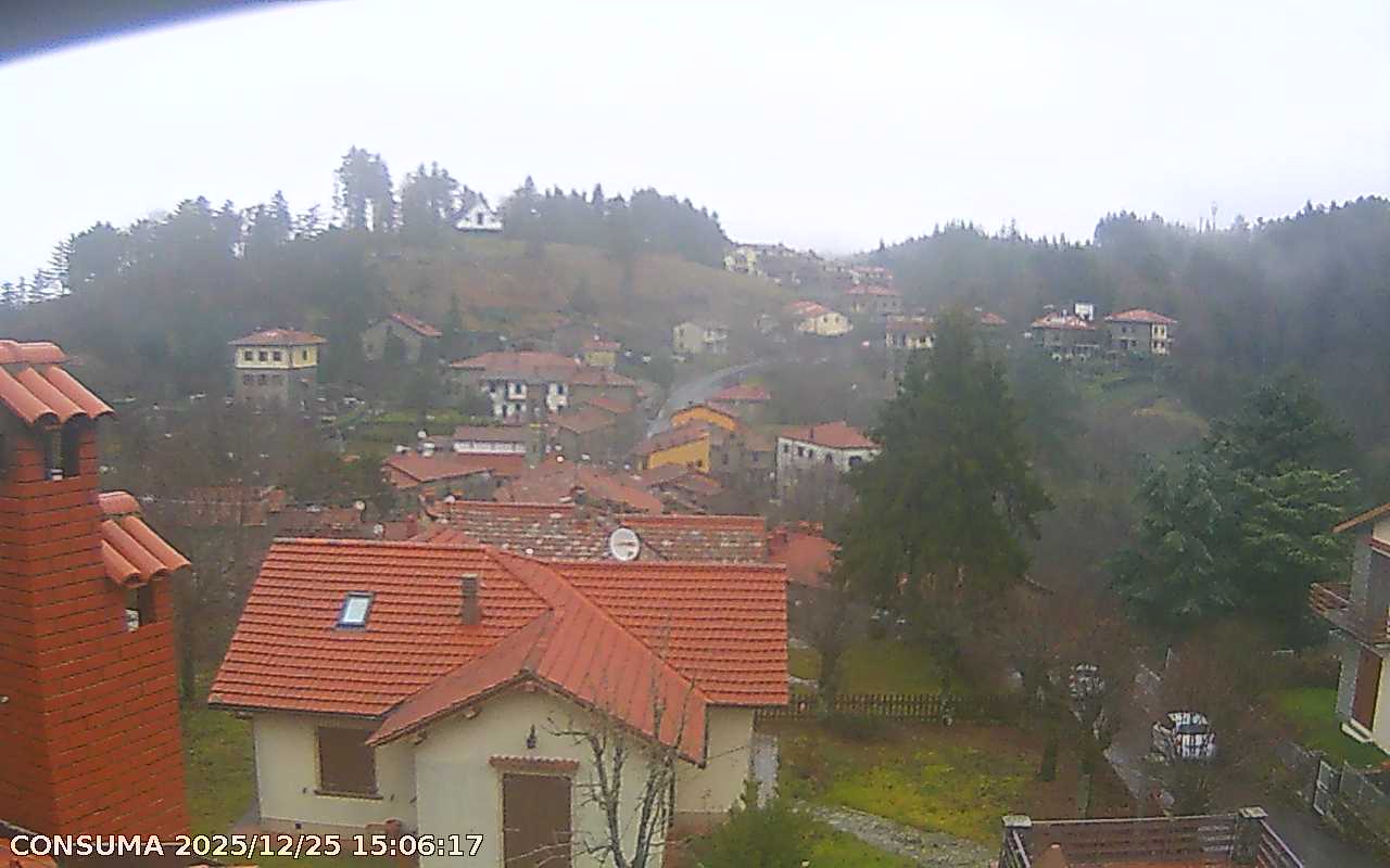 immagine della webcam nei dintorni di Passo della Consuma: webcam Montemignaio