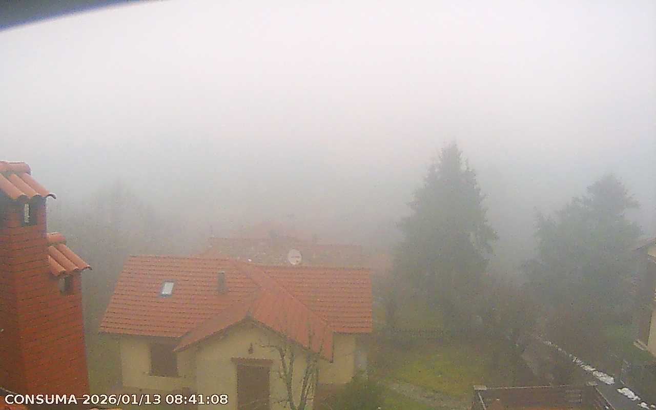 immagine della webcam nei dintorni di Pelago: webcam Montemignaio