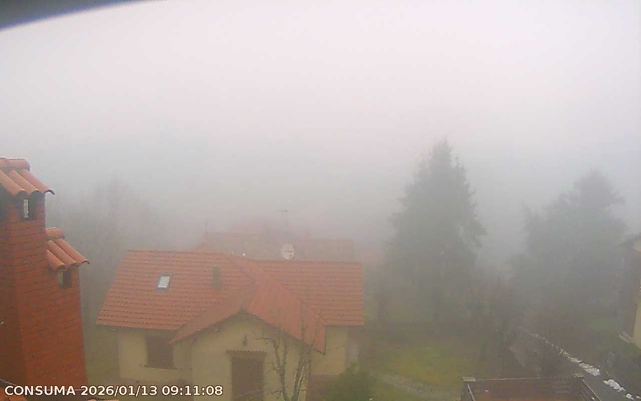 immagine della webcam nei dintorni di Campigna: webcam Montemignaio