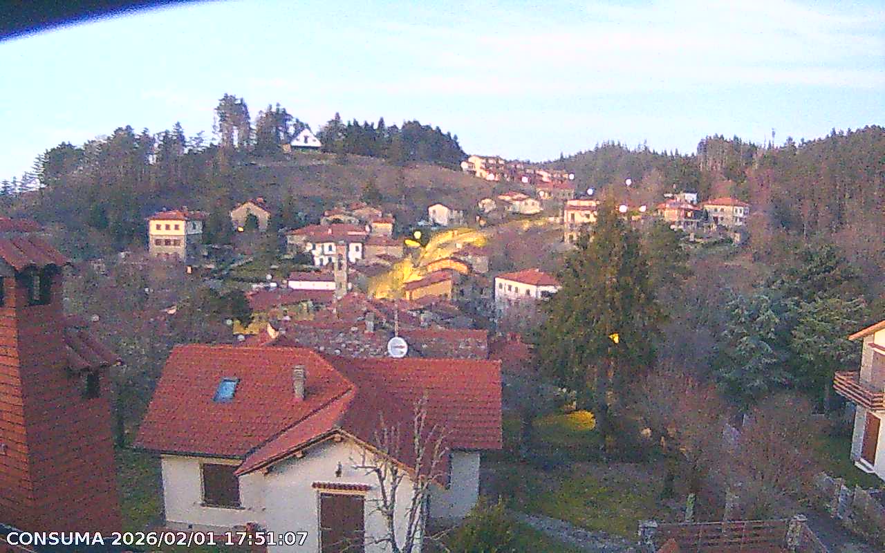 immagine della webcam nei dintorni di Ortignano Raggiolo: webcam Montemignaio