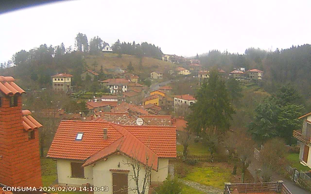immagine della webcam nei dintorni di Passo della Consuma: webcam Montemignaio