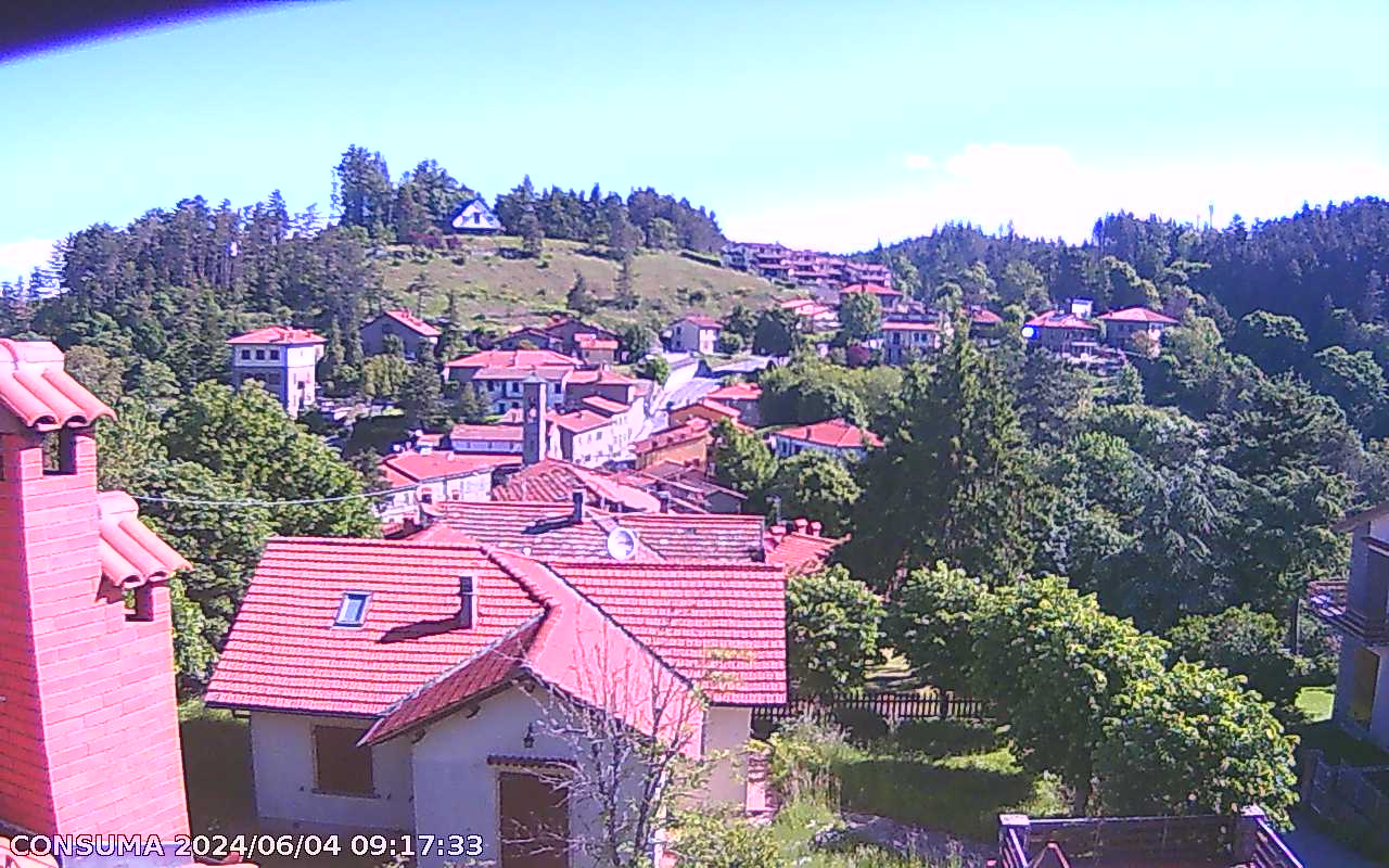 immagine della webcam nei dintorni di Firenze: webcam Pelago