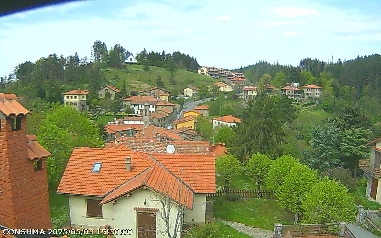 immagine della webcam nei dintorni di Pratovecchio: webcam Pelago