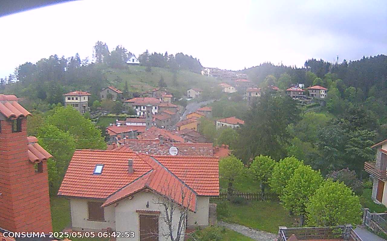 immagine della webcam nei dintorni di Incisa in Val d'Arno: webcam Pelago