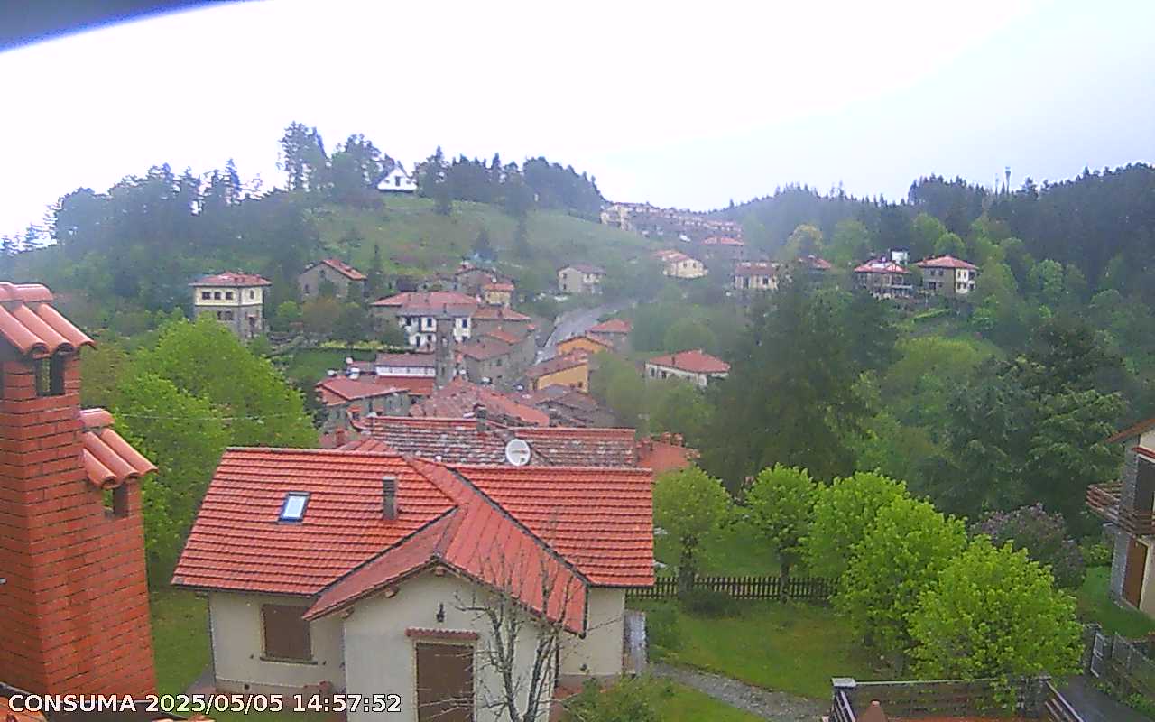 immagine della webcam nei dintorni di Torri: webcam Pelago