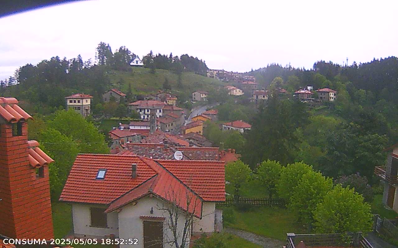 immagine della webcam nei dintorni di San Donato in Collina: webcam Pelago