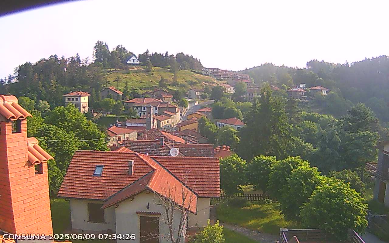 immagine della webcam nei dintorni di Campigna: webcam Pelago