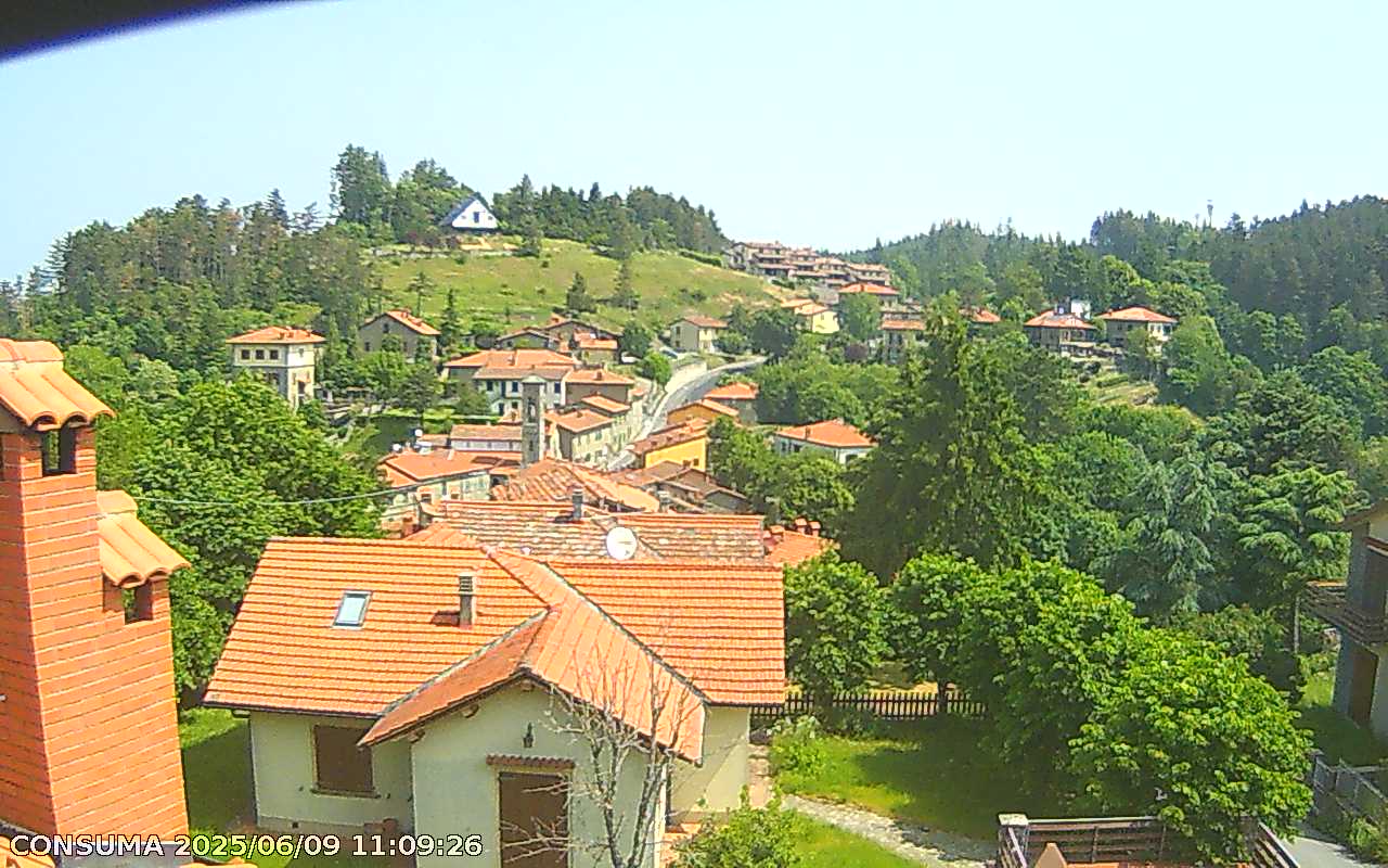 immagine della webcam nei dintorni di San Giovanni Valdarno: webcam Pelago