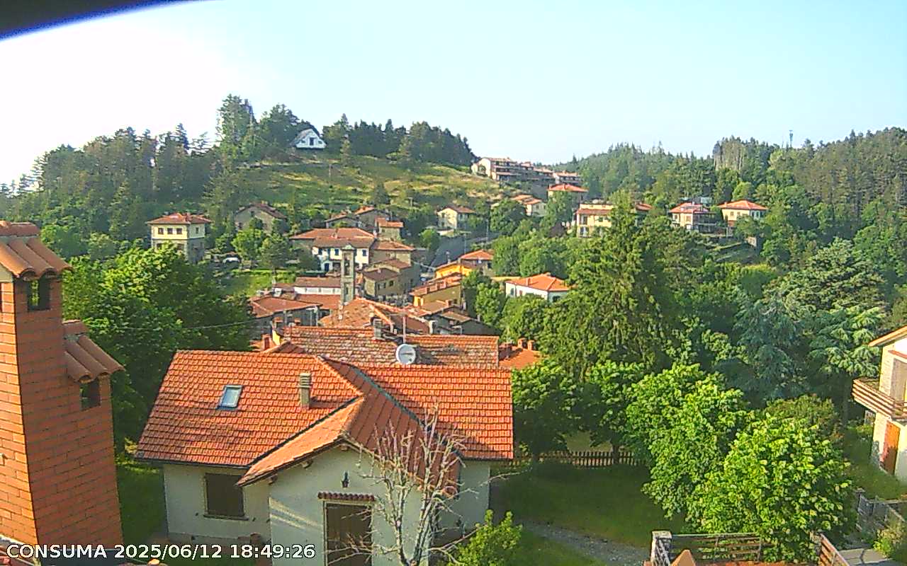 immagine della webcam nei dintorni di Passo della Consuma: webcam Pelago