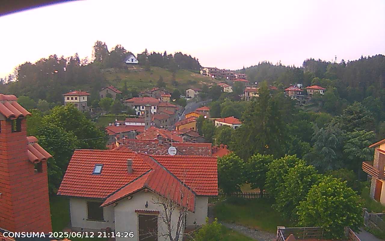 immagine della webcam nei dintorni di Passo della Consuma: webcam Pelago