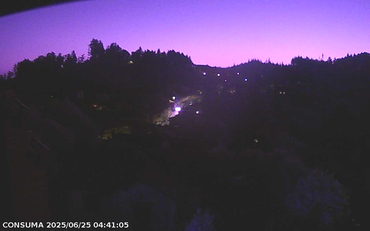 immagine della webcam nei dintorni di Firenze: webcam Pelago