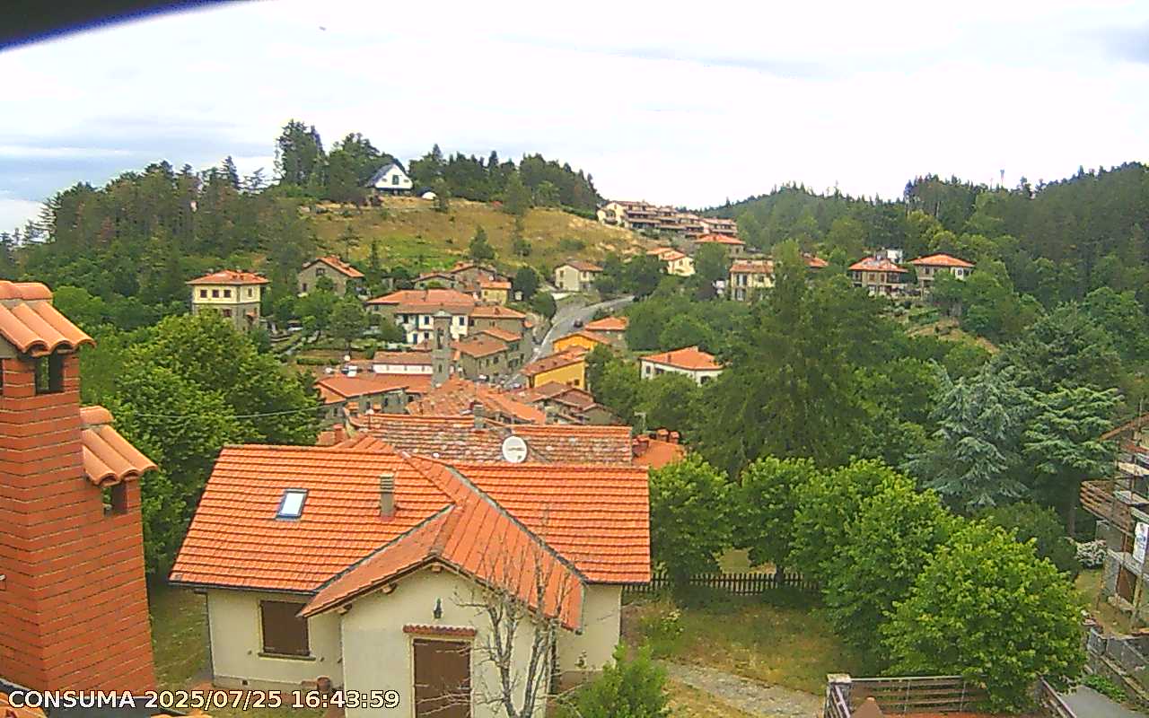 immagine della webcam nei dintorni di Pontassieve: webcam Pelago