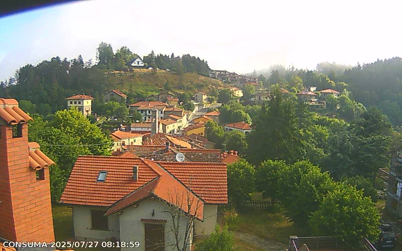 immagine della webcam nei dintorni di Firenze: webcam Pelago