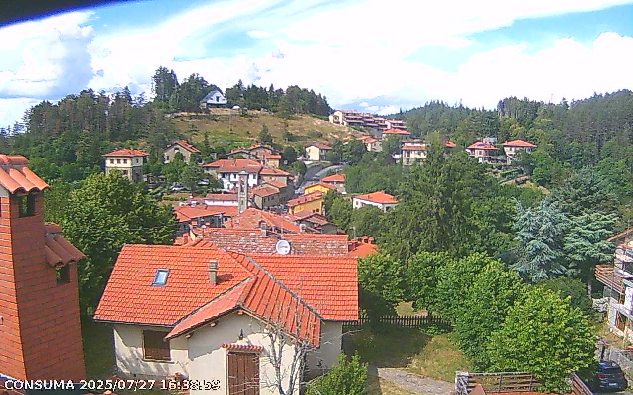 immagine della webcam nei dintorni di Montemignaio: webcam Pelago