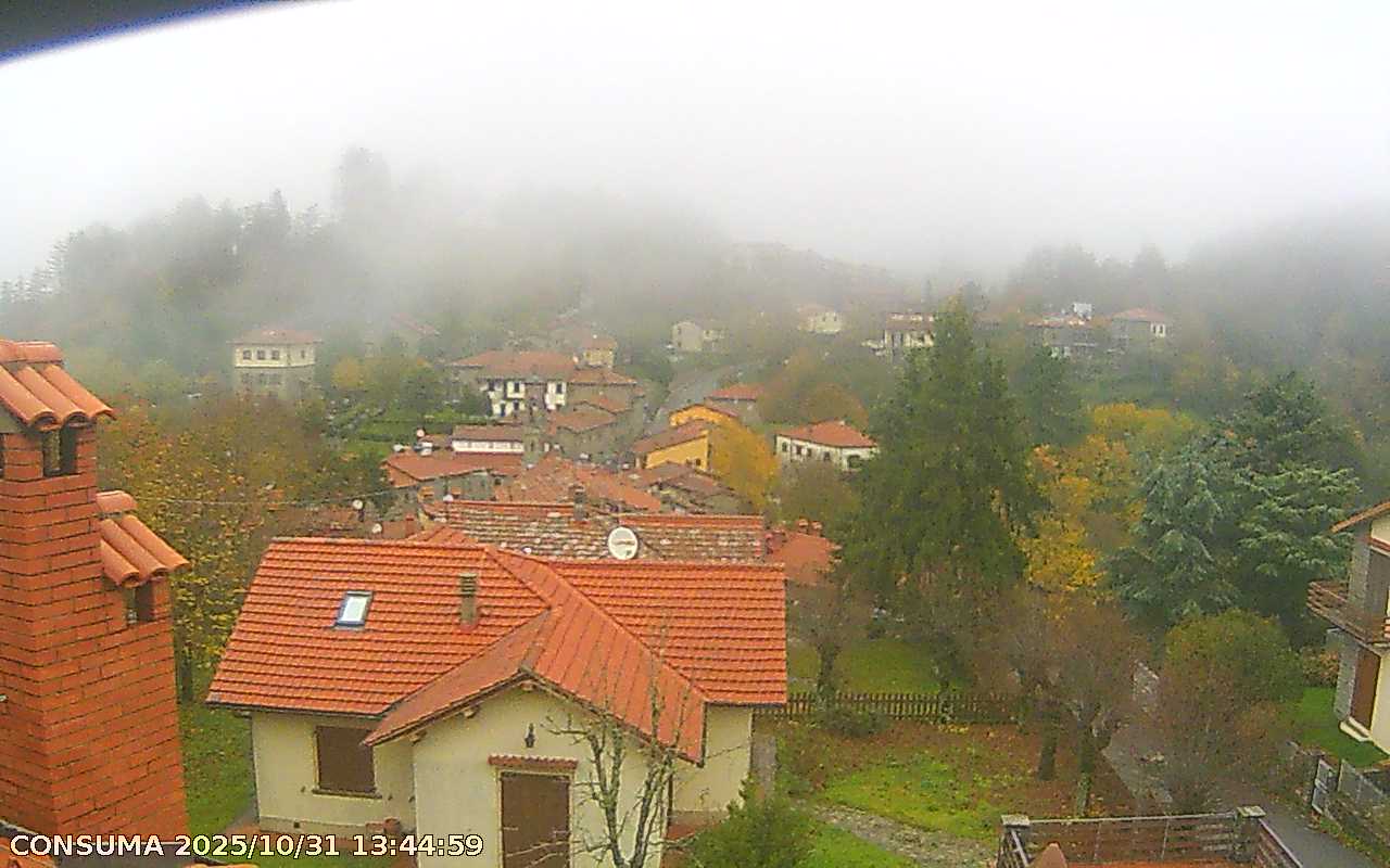 immagine della webcam nei dintorni di Montebonello: webcam Pelago