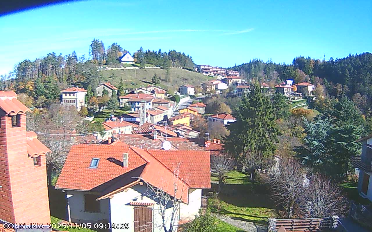 immagine della webcam nei dintorni di San Benedetto in Alpe: webcam Pelago