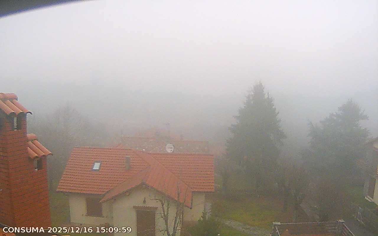 immagine della webcam nei dintorni di Montemignaio: webcam Pelago