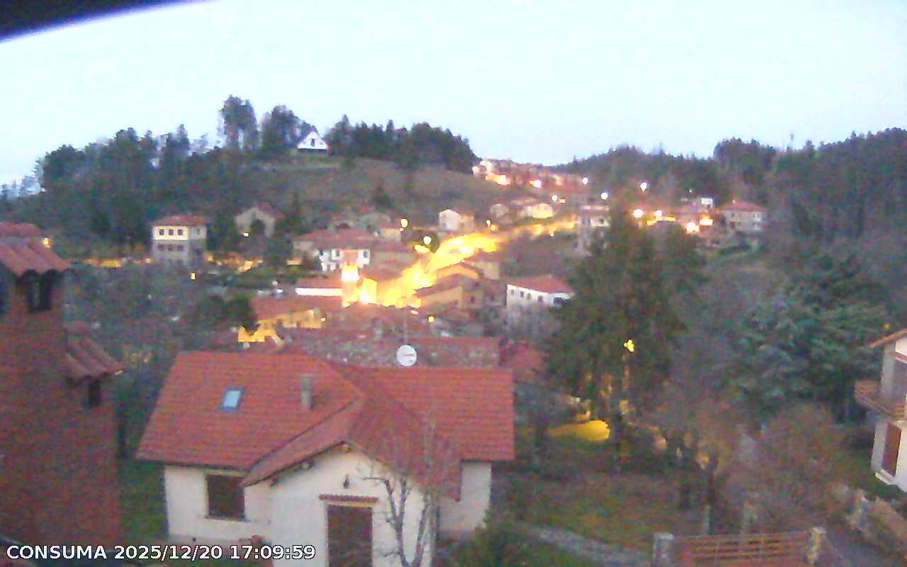 immagine della webcam nei dintorni di Firenze: webcam Pelago