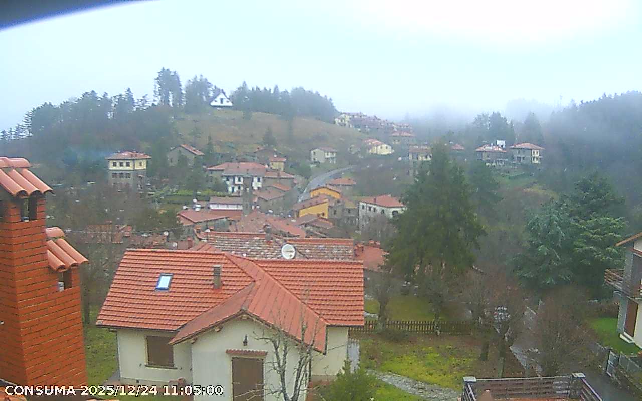 immagine della webcam nei dintorni di Firenze Peretola: webcam Pelago