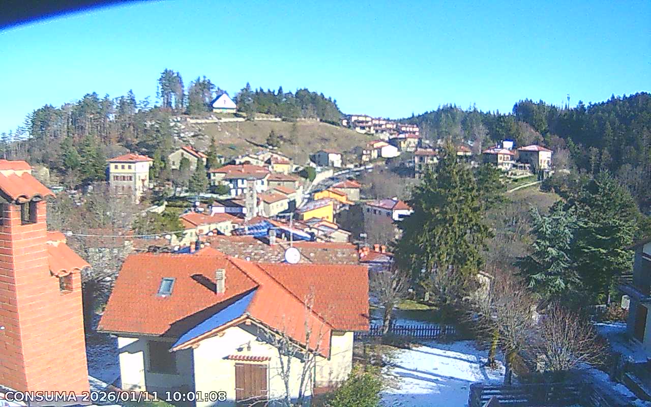 immagine della webcam nei dintorni di Montemignaio: webcam Pelago