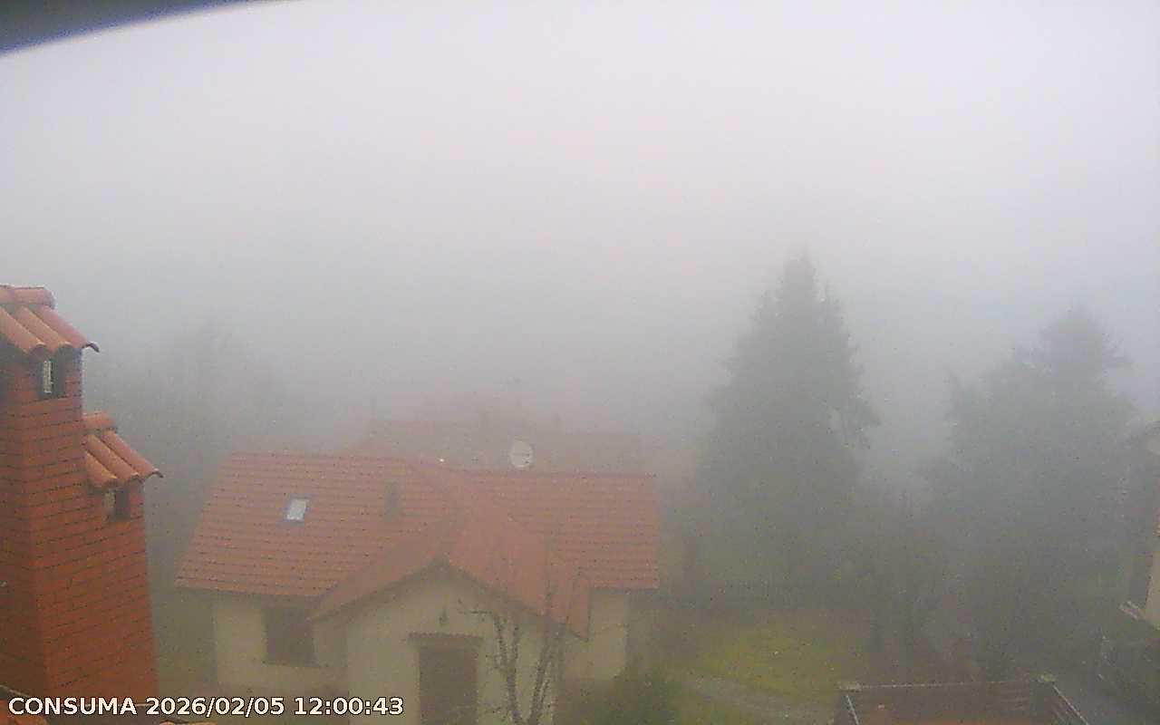 immagine della webcam nei dintorni di Reggello: webcam Pelago