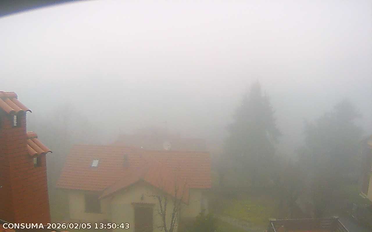 immagine della webcam nei dintorni di Pratovecchio: webcam Pelago