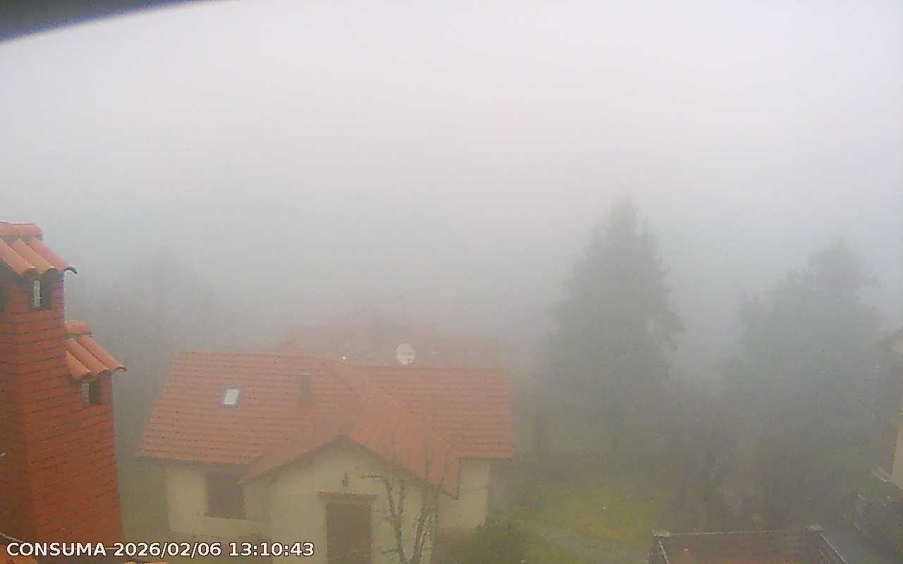 immagine della webcam nei dintorni di Firenze: webcam Pelago