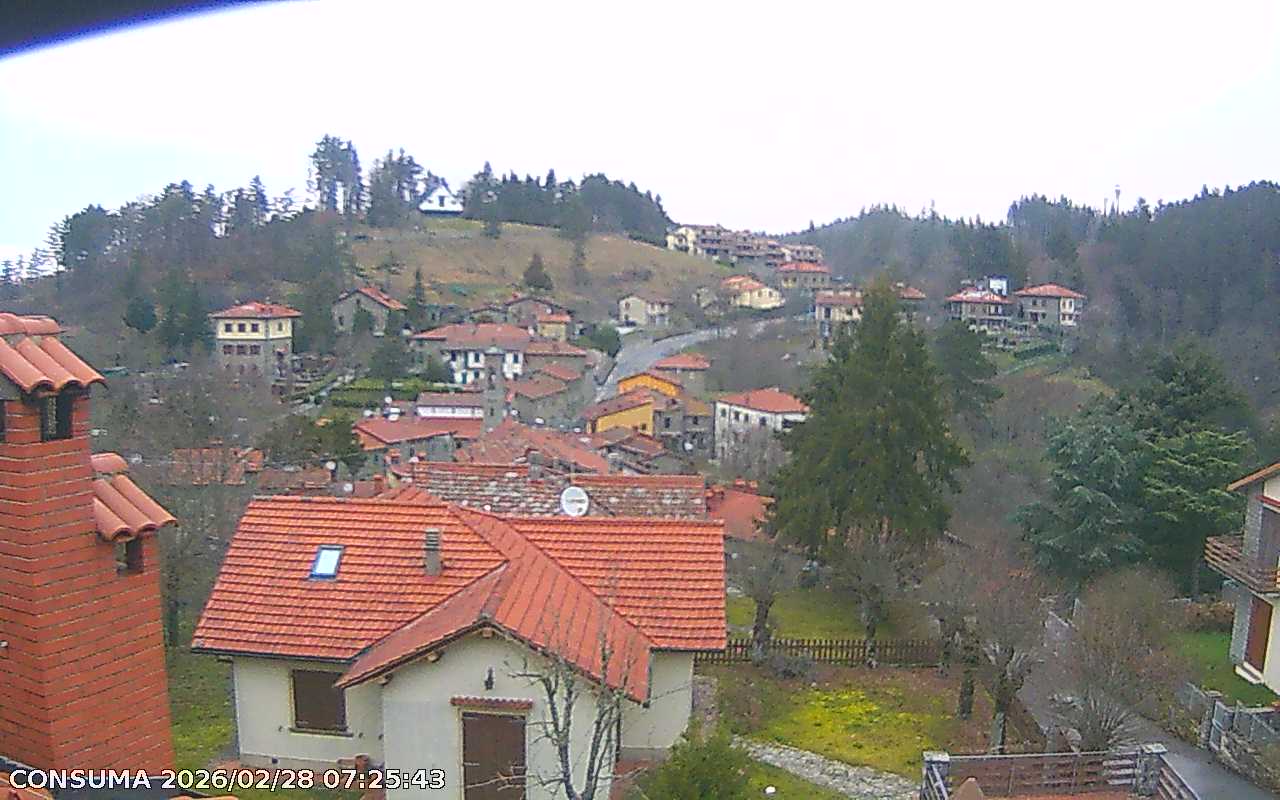 immagine della webcam nei dintorni di Castelfranco di Sopra: webcam Pelago