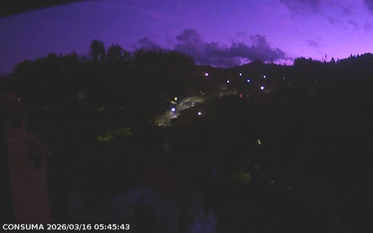 immagine della webcam nei dintorni di Pratovecchio: webcam Pelago