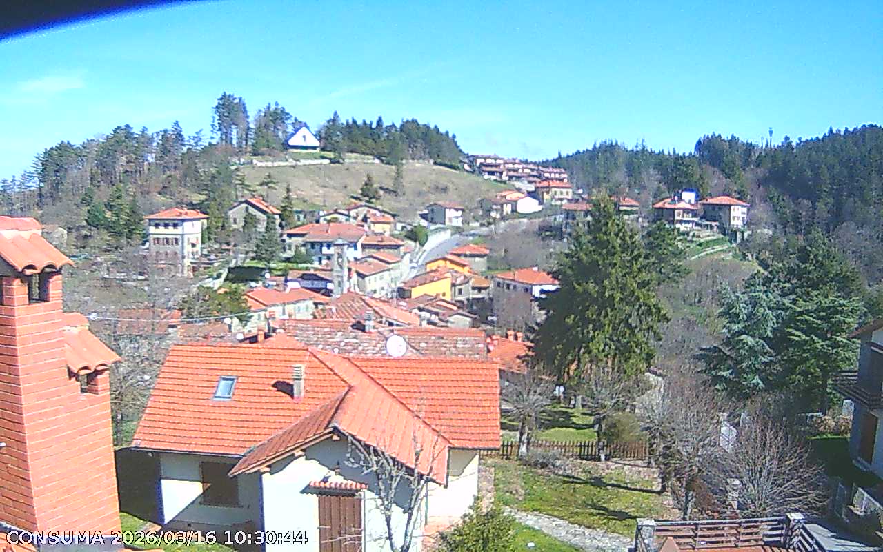 immagine della webcam nei dintorni di Rignano sull'Arno: webcam Pelago