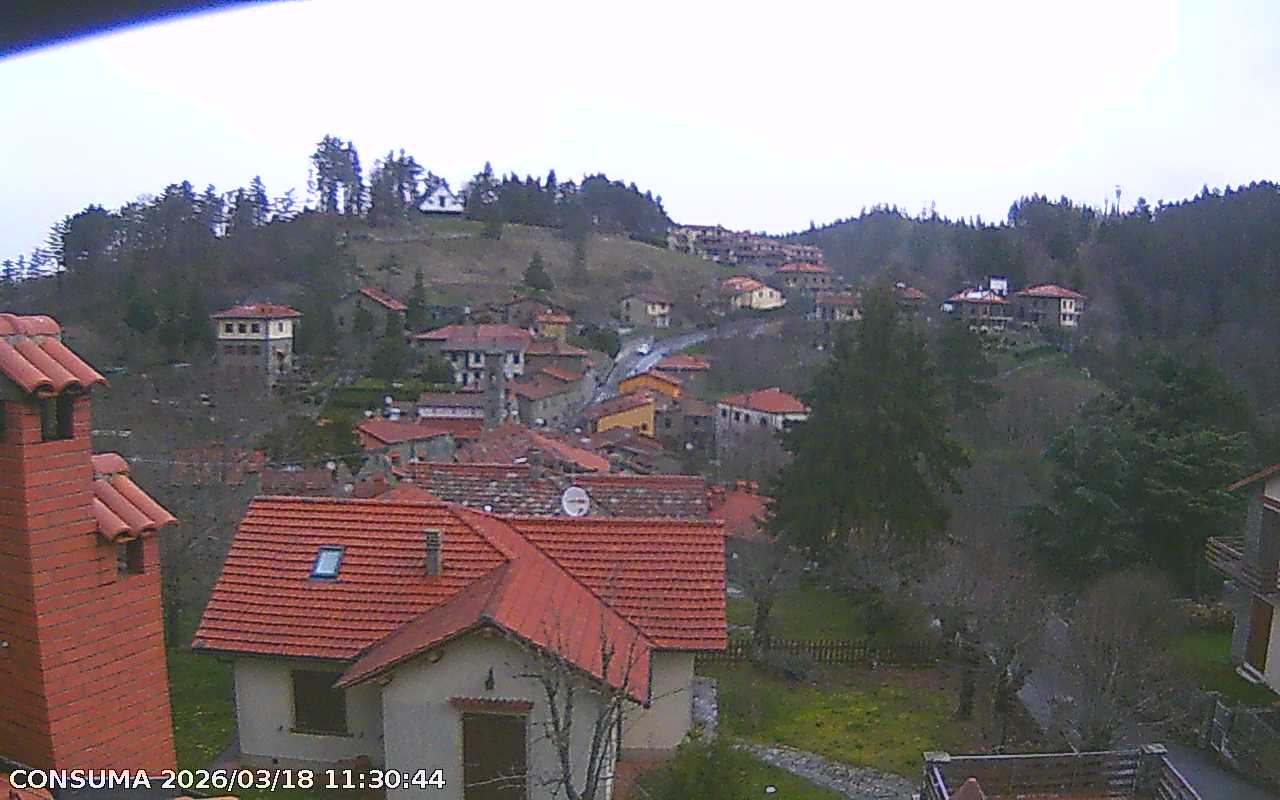 immagine della webcam nei dintorni di Badia Prataglia: webcam Pelago