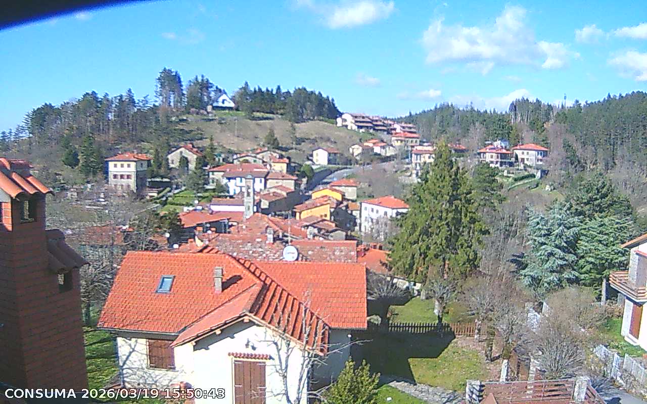 immagine della webcam nei dintorni di Ortignano Raggiolo: webcam Pelago