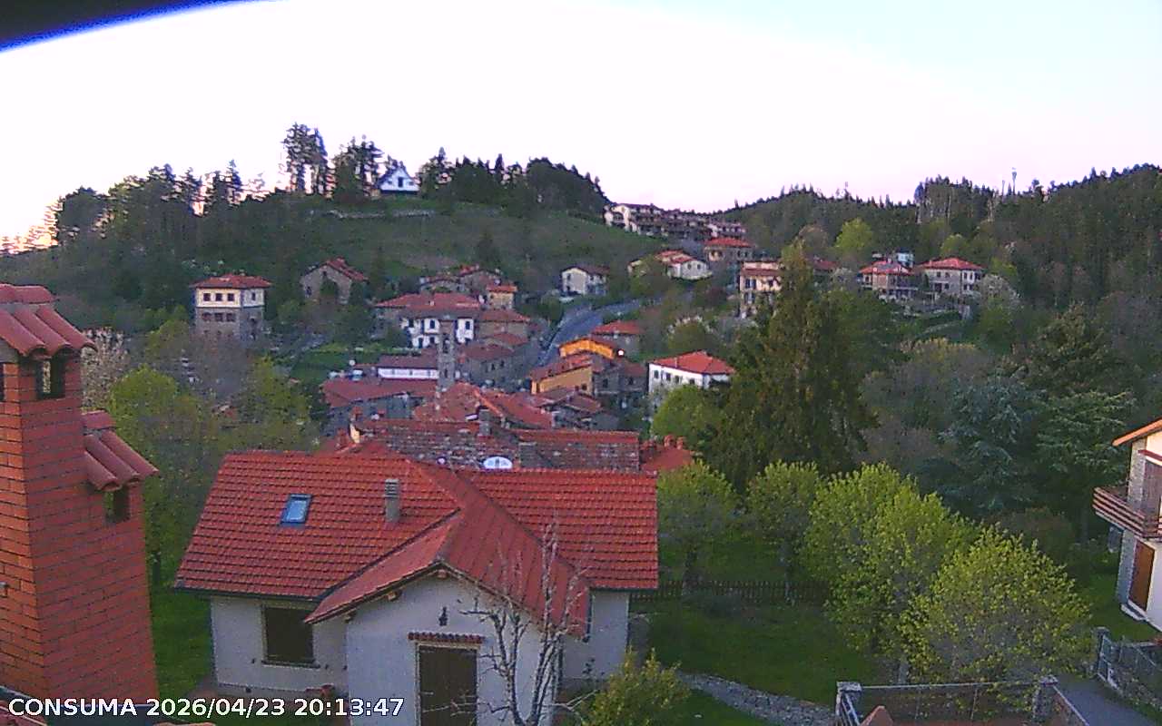 immagine della webcam nei dintorni di Castelfranco di Sopra: webcam Pelago