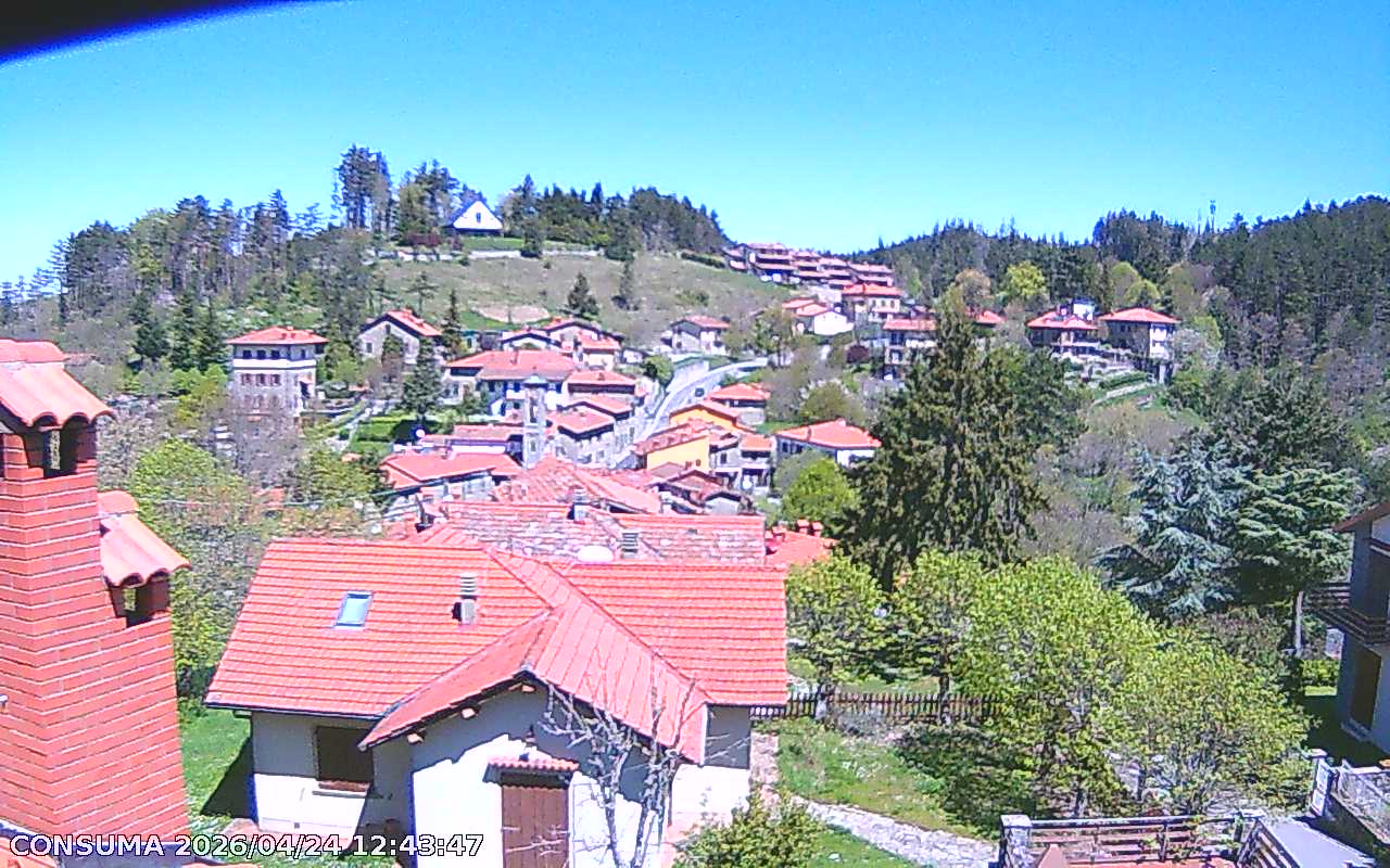 immagine della webcam nei dintorni di Ridracoli: webcam Pelago