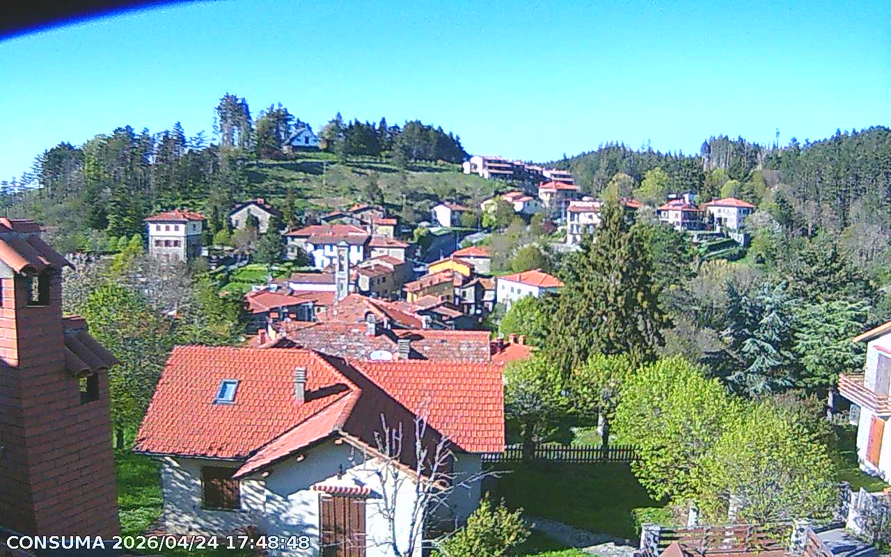 immagine della webcam nei dintorni di Badia Prataglia: webcam Pelago