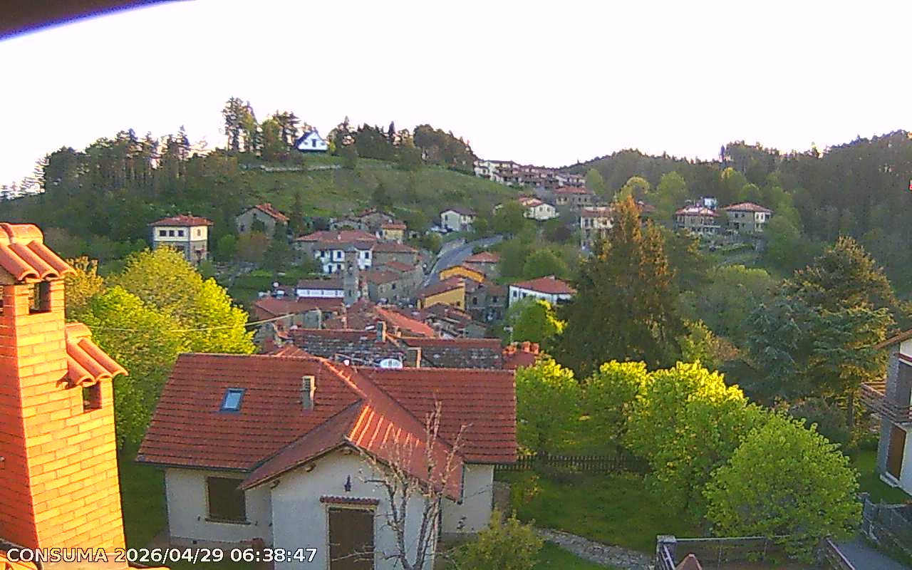 immagine della webcam nei dintorni di Firenze Peretola: webcam Pelago