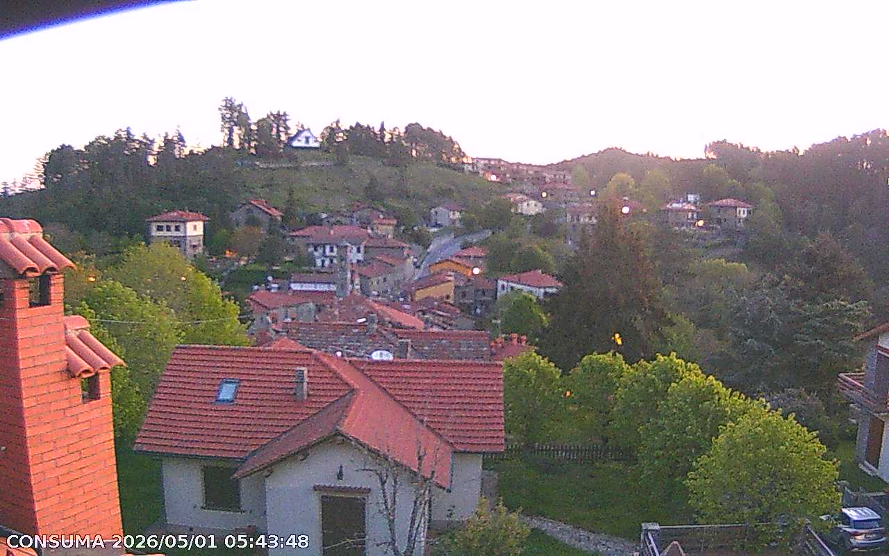 immagine della webcam nei dintorni di Pontassieve: webcam Pelago