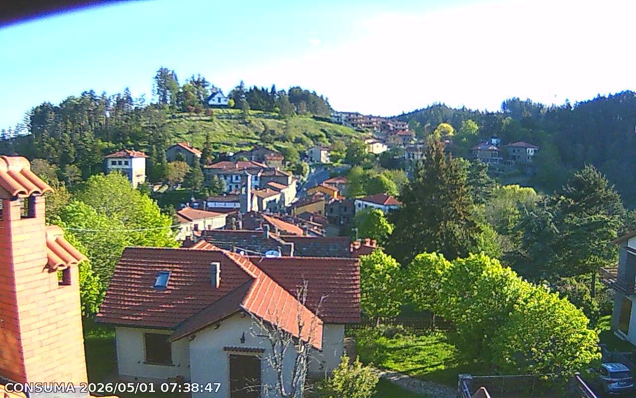 immagine della webcam nei dintorni di Reggello: webcam Pelago