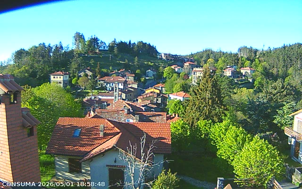 immagine della webcam nei dintorni di Firenze: webcam Pelago