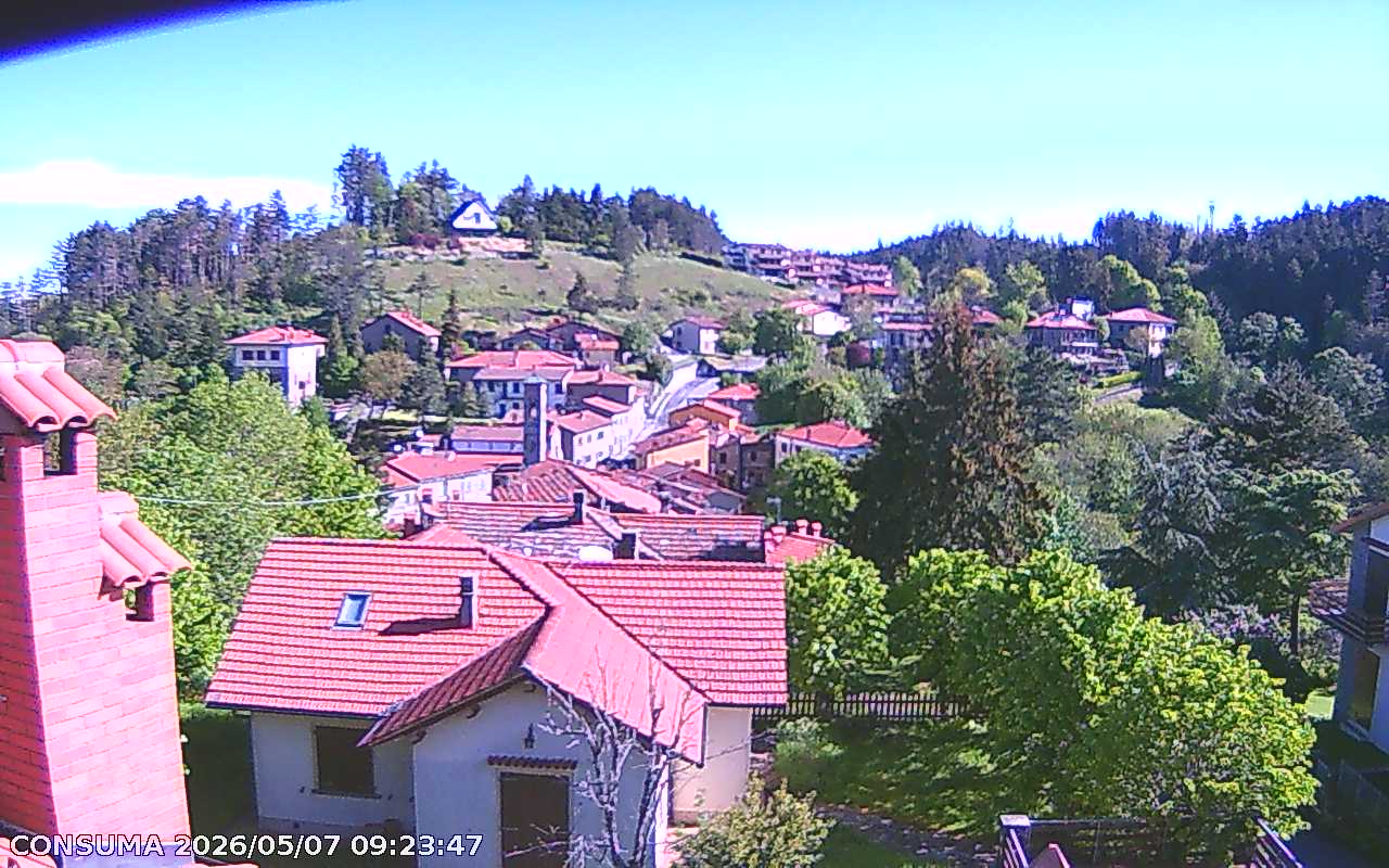 immagine della webcam nei dintorni di Montevarchi: webcam Pelago