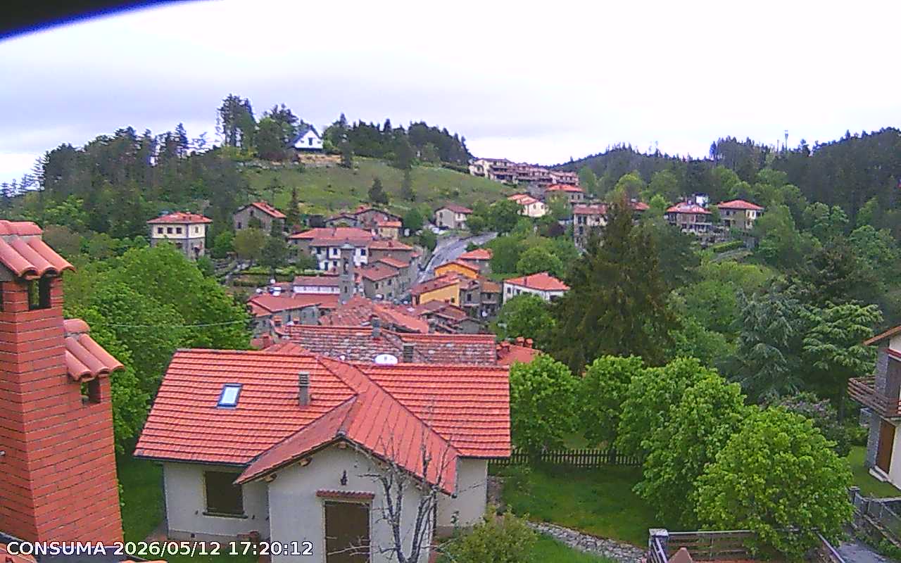 immagine della webcam nei dintorni di Passo della Consuma: webcam Pelago