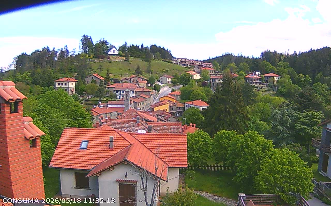 immagine della webcam nei dintorni di Pratovecchio Stia: webcam Pelago