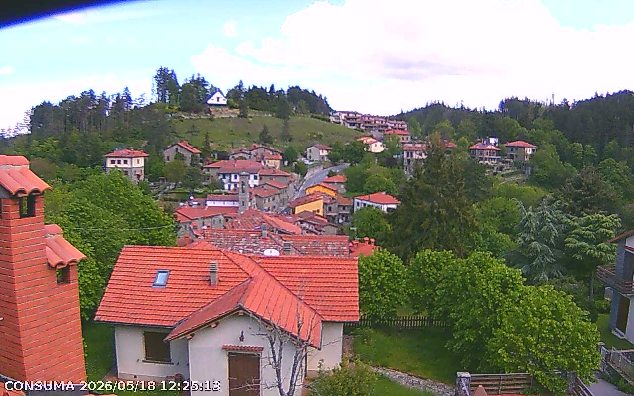 immagine della webcam nei dintorni di Pratovecchio Stia: webcam Pelago