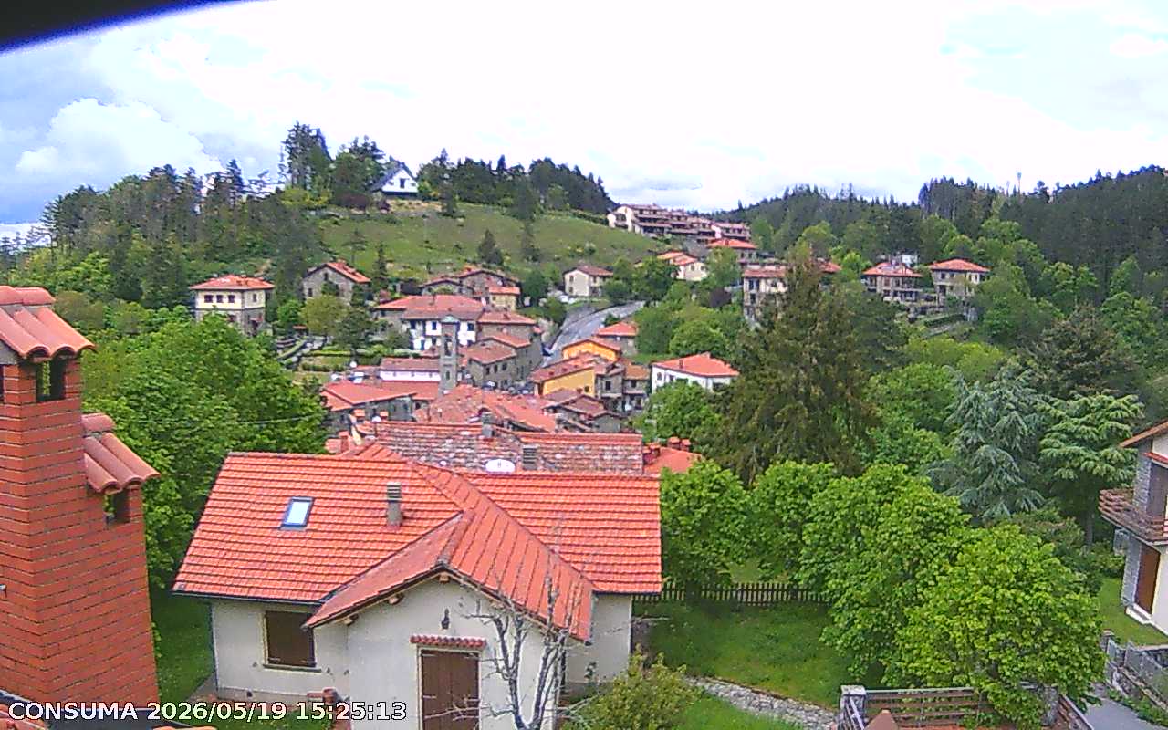 immagine della webcam nei dintorni di Rignano sull'Arno: webcam Pelago