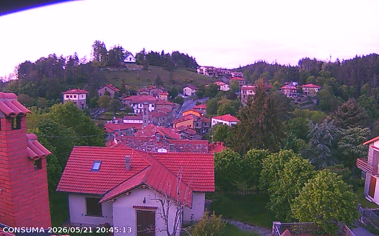 immagine della webcam nei dintorni di Passo della Consuma: webcam Pelago