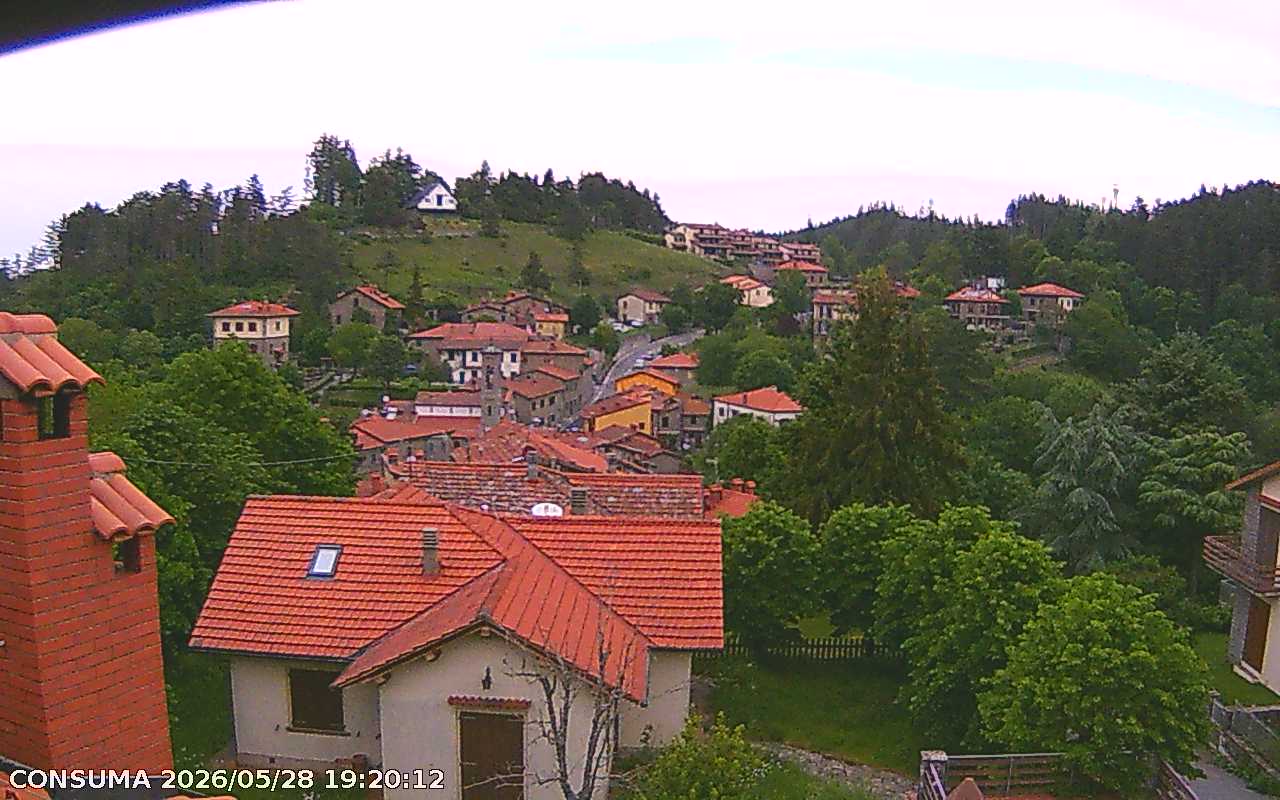 immagine della webcam nei dintorni di Montemignaio: webcam Pelago