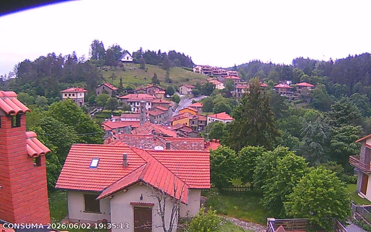 immagine della webcam nei dintorni di Eremo di Camaldoli: webcam Pelago