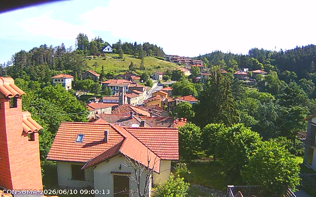 immagine della webcam nei dintorni di Firenze Peretola: webcam Pelago