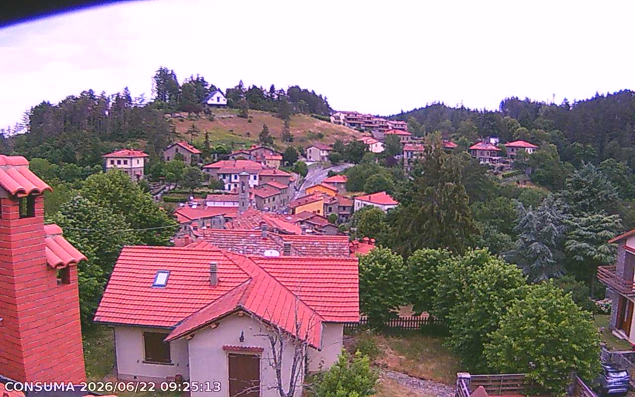 immagine della webcam nei dintorni di San Giovanni Valdarno: webcam Pelago